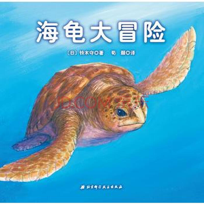 海龟大冒险 小贝壳绘本馆 绘本 3-6岁