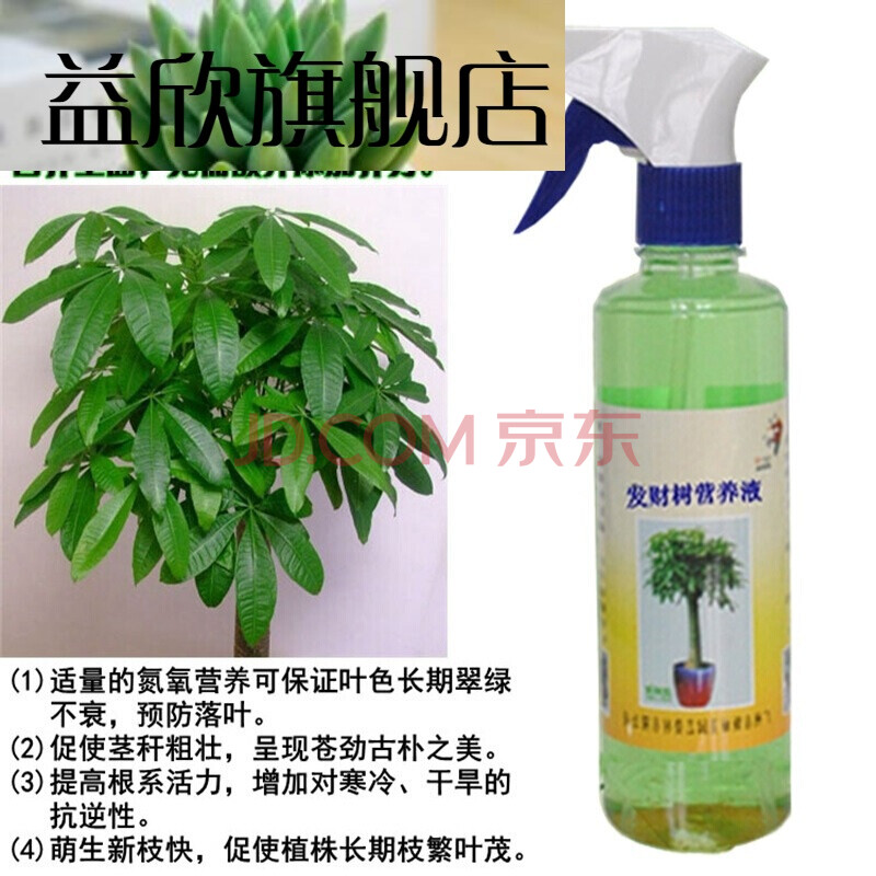 发财树金钱树绿萝肥黄叶枯萎黄斑肥料营养液肥复合肥 发财树丹麦营养