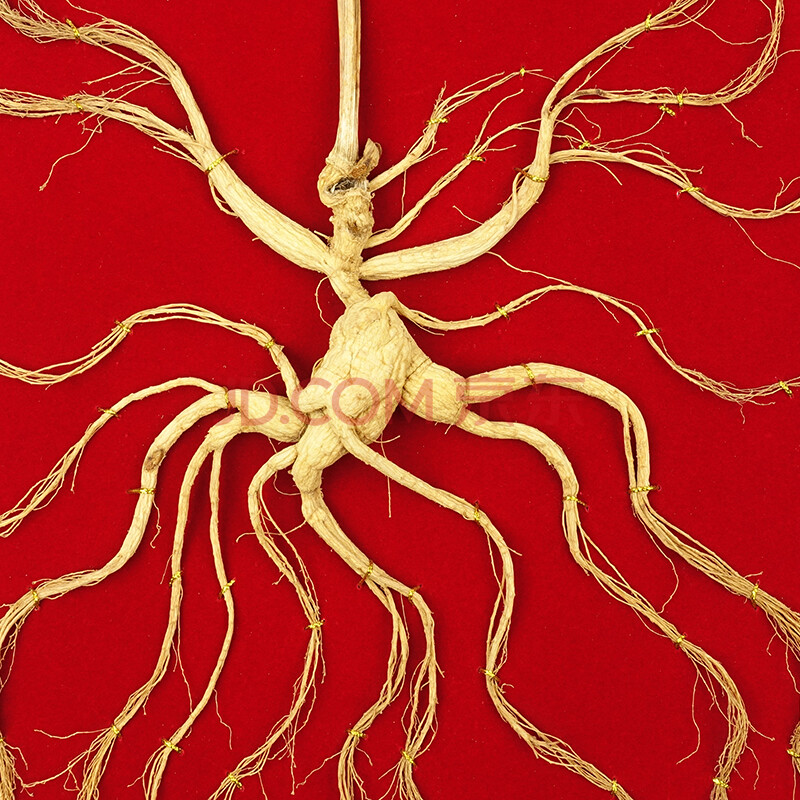 特等参 54g左右 编号td97546 (80厘米 东北特产