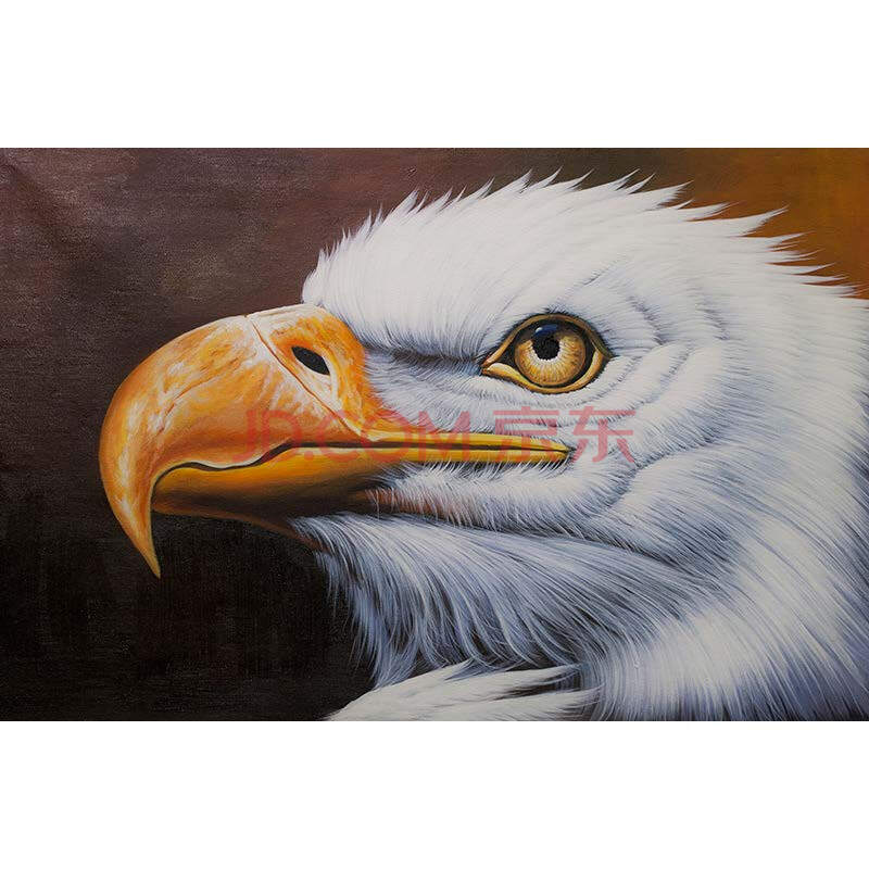 许飞飞《鹰》 布面油画 60*90cm-京东珍品拍卖