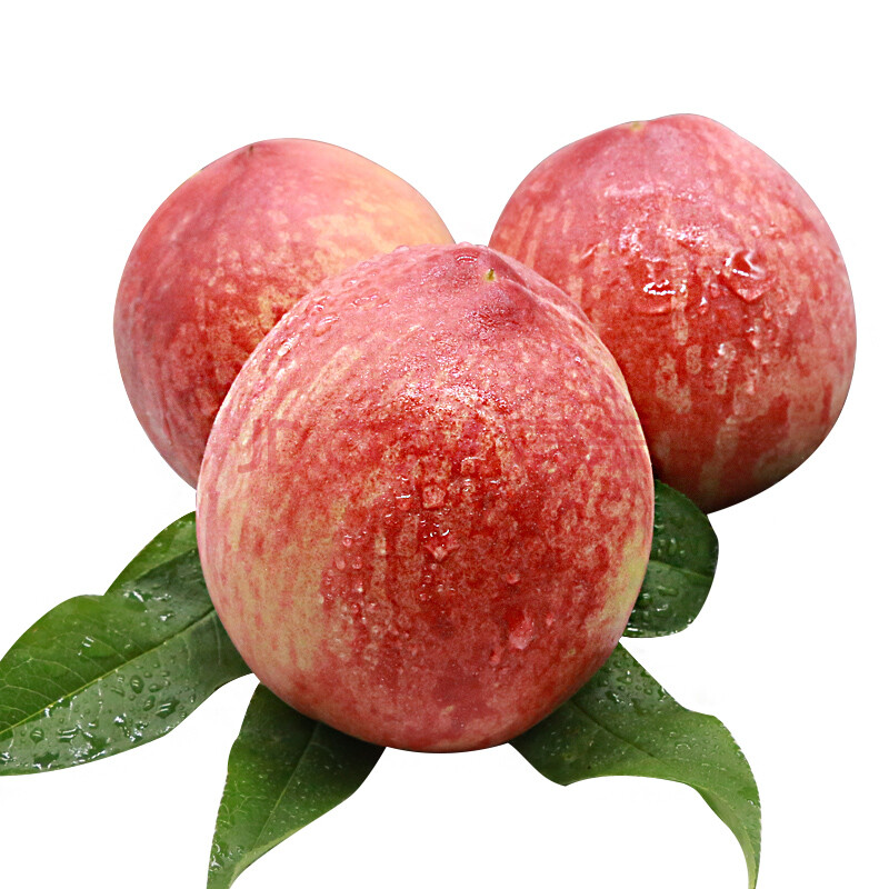 云伙计 新鲜毛桃 脆甜水果桃子 约2.5kg 2.5kg