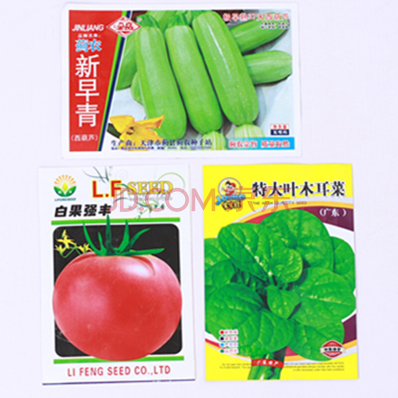 孙凯绿植春季蔬菜种子套餐 阳台盆栽四季播易种菜种子 家庭菜籽包邮