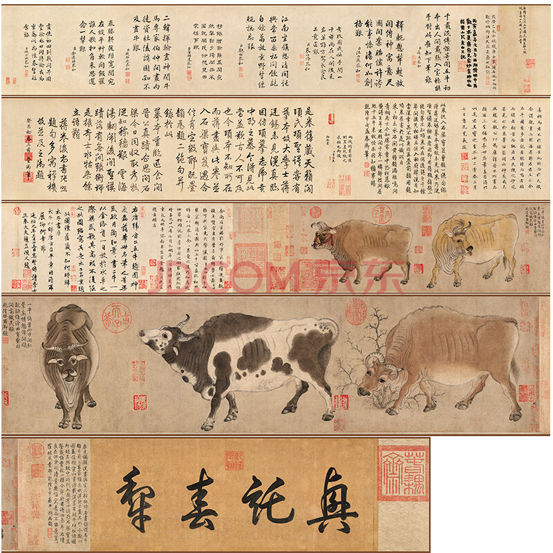 北京故宫博物院藏 唐 韩滉《五牛图全卷》5.