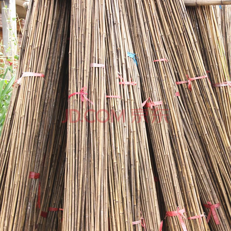 听香园艺 粗竹竿大毛竹竿 菜园搭架 细竹杆 庭院装饰 篱笆竹围栏 工程