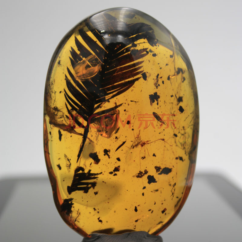 98g 超美金蓝植物珀【专场推荐】