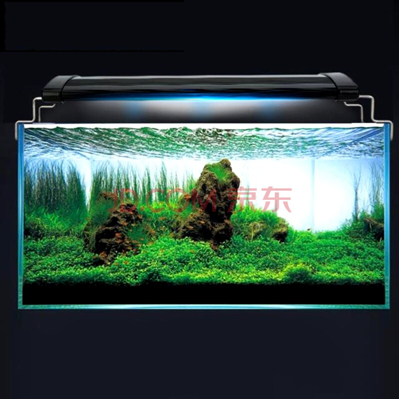 水族箱魚缸燈led經濟照明燈水草燈 海水缸淡水缸魚缸led燈具燈架高