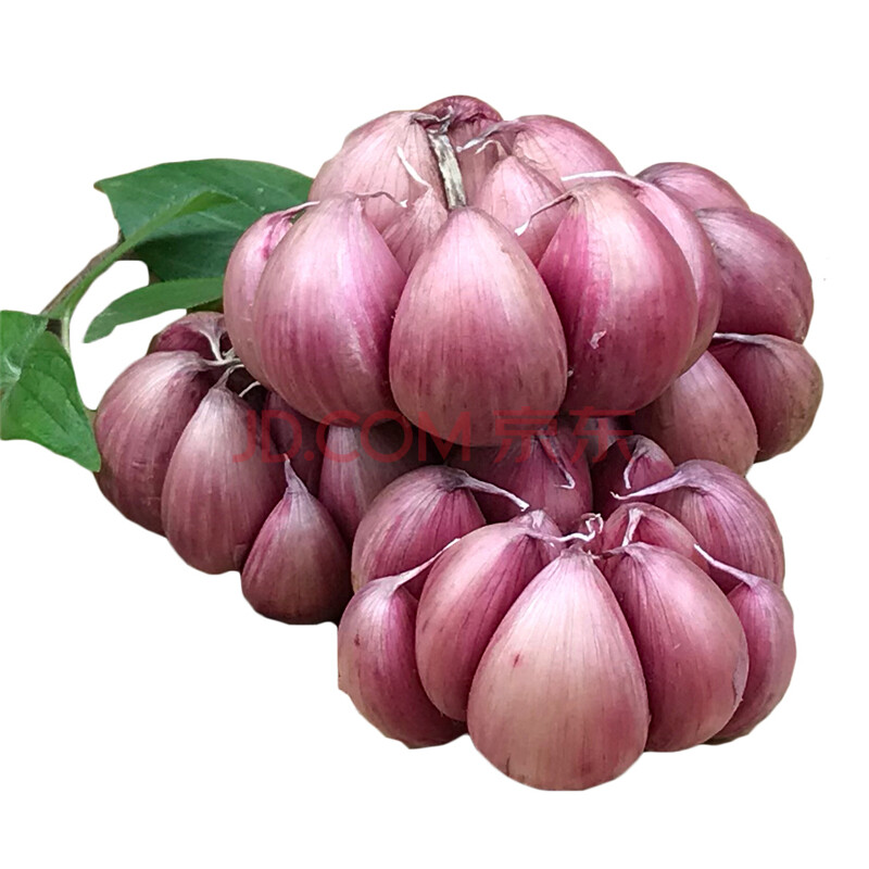 现货云南紫皮大蒜 红皮大蒜土蒜 红蒜干蒜 1.5kg