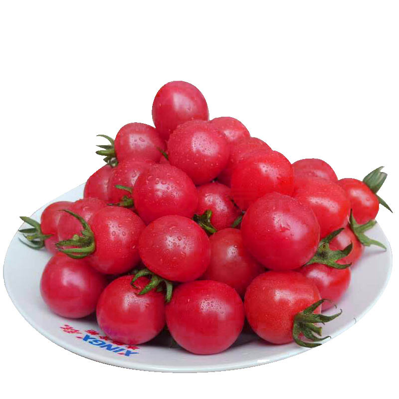 博多客 5斤装 圣女果 千禧小番茄 新鲜蔬菜水果沙拉 小西红柿