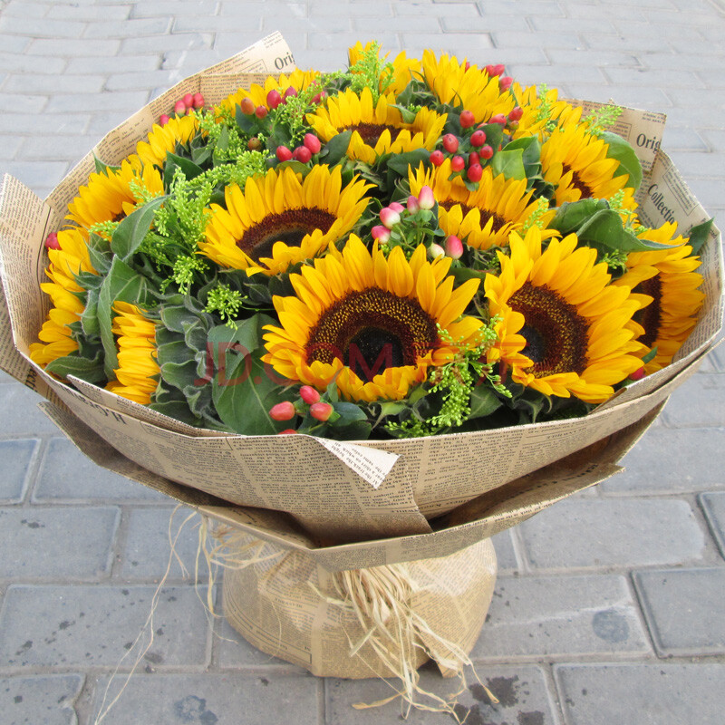 北京花店上海南京同城送花花束父亲节母亲节鲜花全国速递 15朵向日葵