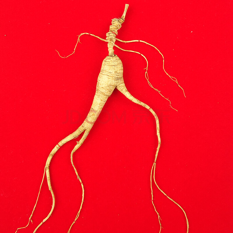 2g左右 编号yd42944 (东北特产 长白山 人参 野山参 补品)