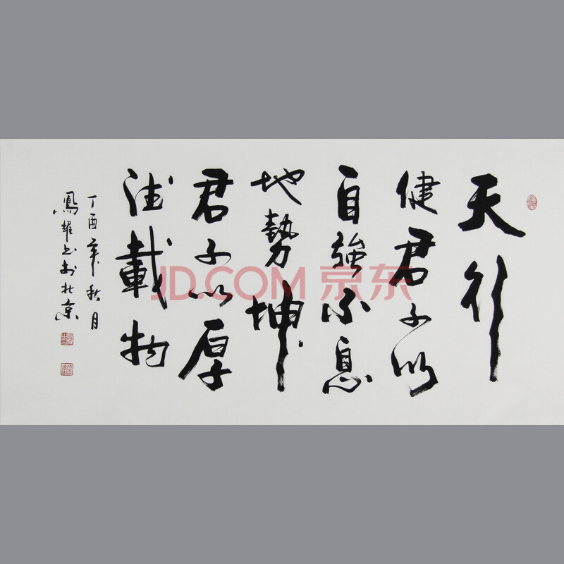 上海书协 顾凤耀 《天行健》