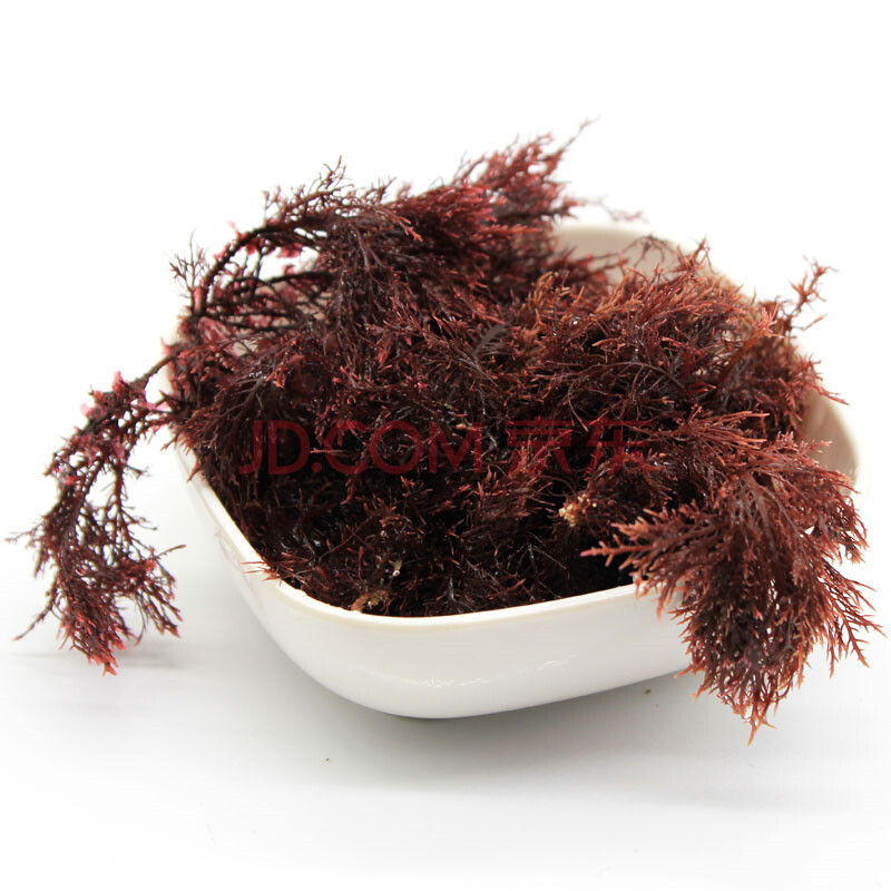顺风 新鲜海菜海藻1kg装 新鲜石花菜