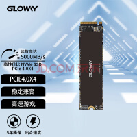 光威（Gloway）2TB SSD固态硬盘 M.2接口(NVMe协议PCIe 4.0 x4) Professional