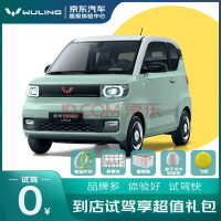 ݸרMINI EV Լ Լֵ