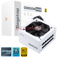  Segotep GM850W Iceberg ATX3.0 power supply (native PCIE5.0/80plus gold medal/full module white cable/desktop computer main box power supply)