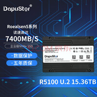 ΢DapuStor ҵ̬ӲNVMe SSD PCIe4.0 Roealsen5 R5100 15.36T U.2
