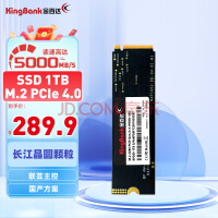 金百达（KINGBANK）1TB SSD固态硬盘 M.2接口(NVMe PCIe 4.0 x4) 读速5000MB/s KP260 长江存储晶圆