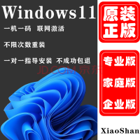 正版windows11 win11专业版家庭版系统正版u盘激活码电脑重装系统盘 XiaoShan win11家庭版 激活码 发邮箱 无票不开票