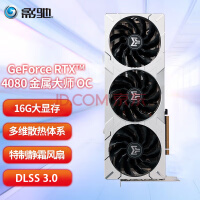 Ӱ RTX4080׽ʦ NVIDIA40ϵ ߶˷յϷԿ RTX4080ʦ OC