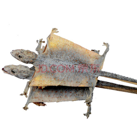 广西蛤蚧 一对大号尾巴干泡酒料男性宜搭海马海龙野生淫羊藿