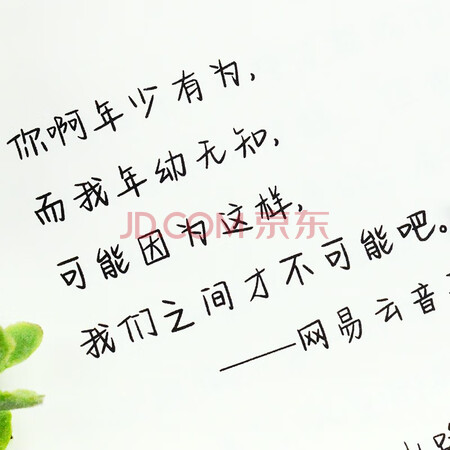 游居敬亭轩 奶酪陷阱体漂亮女生初中生高中生练字帖小清新学生硬笔