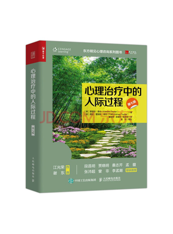 心理治疗中的人际过程（第七版）