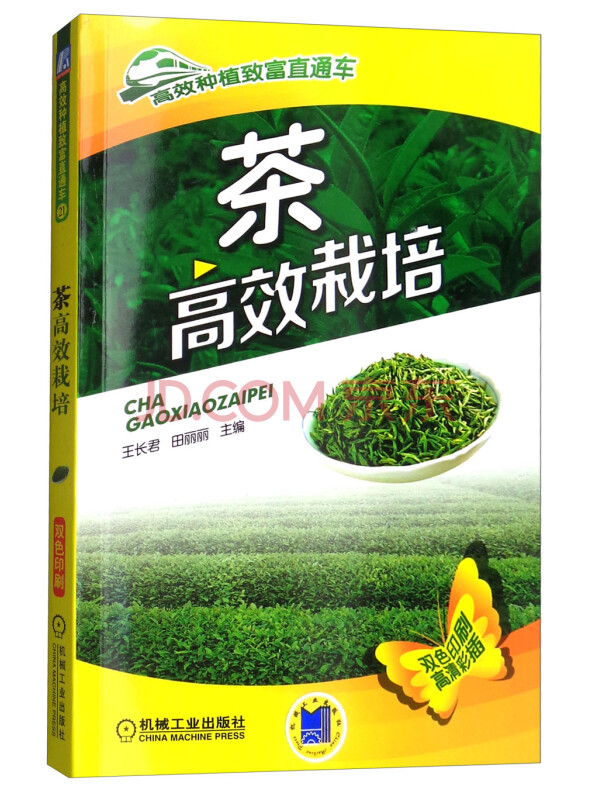 茶高效栽培（双色印刷高清彩插）