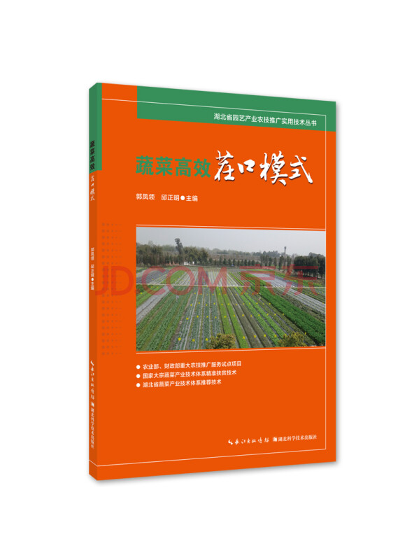 蔬菜高效茬口模式