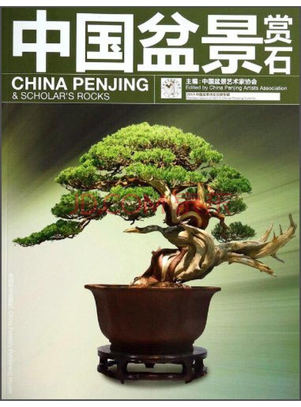 中国盆景赏石：2013中国盆景活动回顾专辑