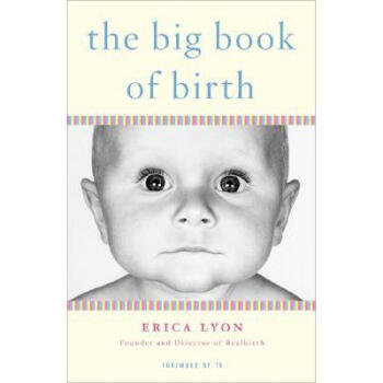 The Big Book of Birth epub格式下载
