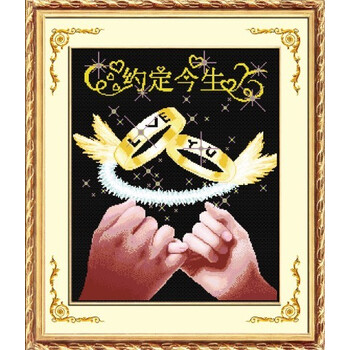 法国进口dmc十字绣套包 约定今生 11ct-3股-黑布