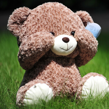 金洋创意 三不熊 正品泰迪熊超萌害羞熊 毛绒玩具熊抱抱熊公仔 50cm