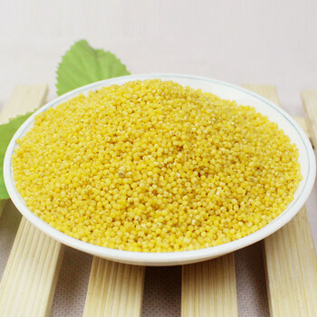 聚福鲜 黄小米500g/袋 月子米 有机食品 黄小米 米粮食农家小米子 新
