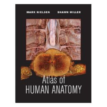 【】Atlas Of Human Anatomy, Firs txt格式下载
