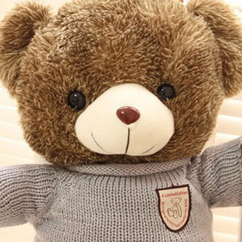 憨憨龙毛绒玩具毛衣熊穿毛衣服泰迪熊公仔抱抱狗熊大号洋布娃娃生日