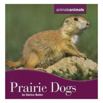 【】Prairie Dogs