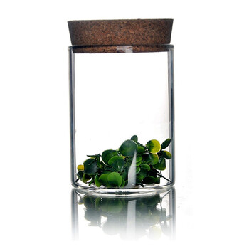 
                                        heisou 密封茶叶罐415ml软木盖透明玻璃茶道用具 储物罐 茶具配件KC187                