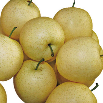 果湘园 水晶梨 6个/箱