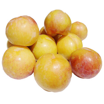 新鲜水果美国黄布林恐龙蛋10个装