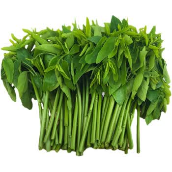 广东新鲜树仔菜发顺丰天绿香菜蔬菜农家食产地直销现摘 500g