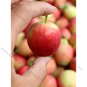 东北海棠果新鲜迷你小苹果 沙果花红果5斤孕妇水果脆苹果10团建中秋