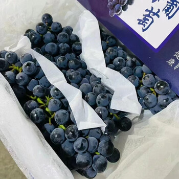 墨之瑶葡萄新鲜无籽酸甜口甜脆孕妇水果5斤应季水果 蓝莓葡萄1箱【6