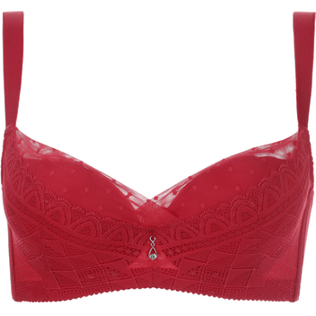 shcer/茜施尔内衣夹棉杯薄款网纱边无痕设计聚拢调整型文胸 红色 70d