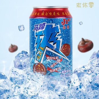 食芳溢冰爽夏日狂欢 金羽马蹄爽果味饮料310ml风味荸荠果汁果肉果粒