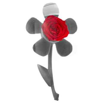 Love Letter 勿拍 告白熊花杆永生花盒表白生日纪念礼物告白熊 图片价格品牌报价 京东