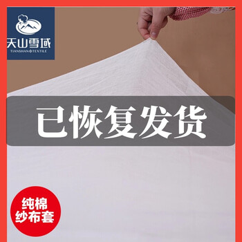 
                                                            纯棉纱布套 棉胎高密度纱布套 内胆套 包棉絮套子 棉花被子布套子  布艺软饰 纯棉纱布套200*230cm                