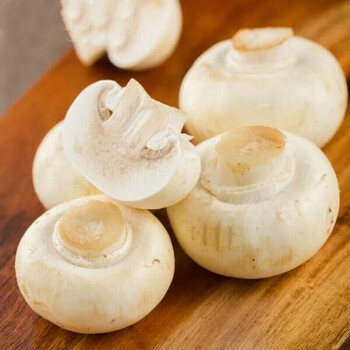 【京鲜速运】新鲜口蘑白蘑菇食用菌菇炖汤小圆菇农家菜时令蔬菜 2斤