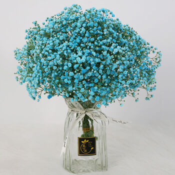 满天星花图片大全(满天星花图片大全唯美)