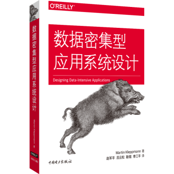 数据密集型应用系统设计 (美)马丁·科勒普曼(Martin Kleppmann) 中国电力出版社