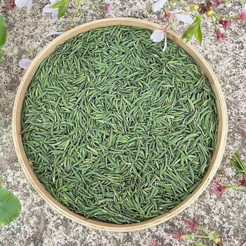 萃隐江苏特产茶叶太湖翠竹2023新茶100g绿茶溧阳翠柏